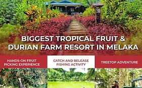 The Orchard Resort & Spa Melaka I World Spa Awards Winner I Free Access To Outdoor Spa Pool